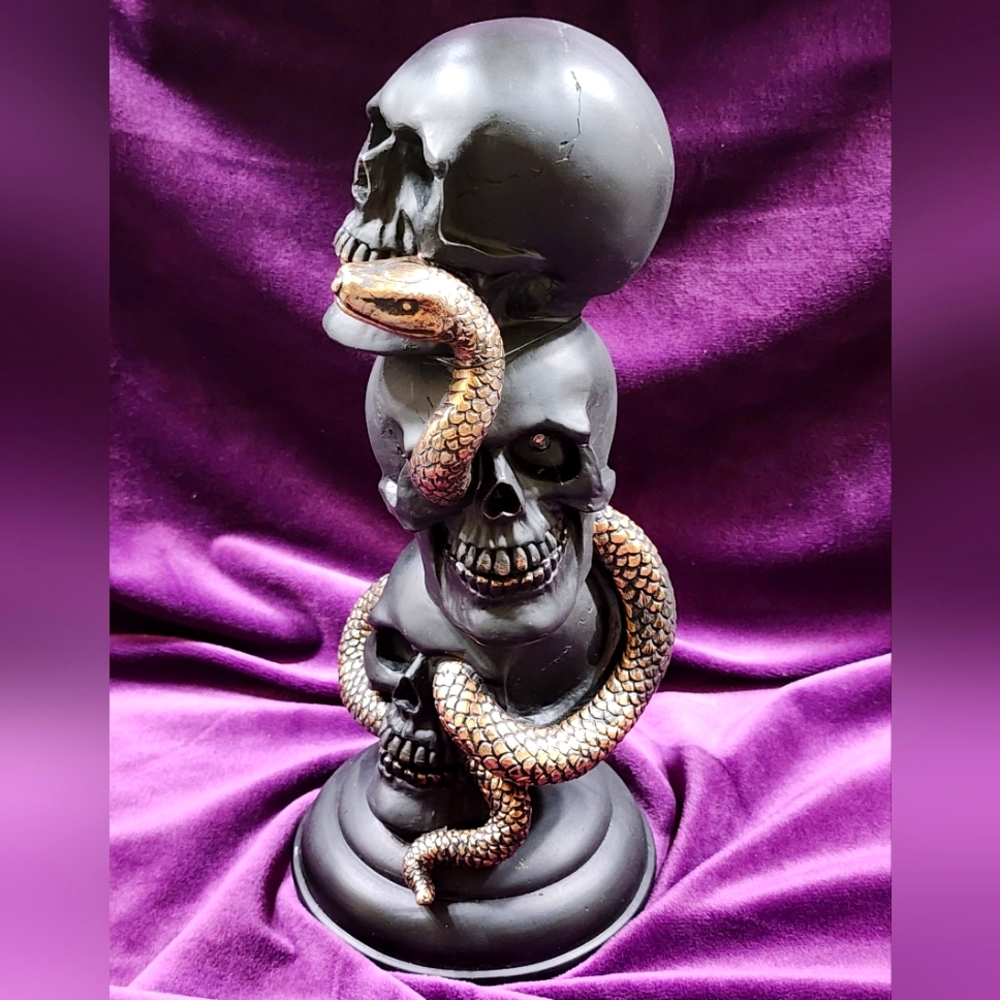 Rachel Zoe Black Skull's and Snake LED Halloween Decor